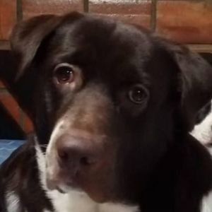 Meet your Posher, Nataly